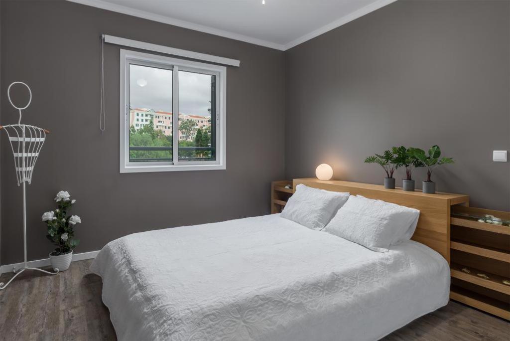 Flh Funchal Nature Flat With Balcony 外观 照片